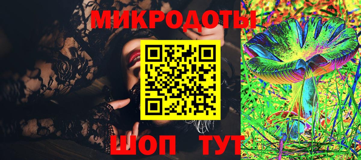 Галлюциногенные грибы Psilocybine cubensis Бузулук