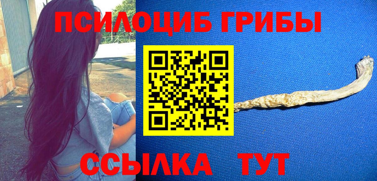 Бузулук  Галлюциногенные грибы Psilocybine cubensis  Галлюциногенные грибы Magic Shrooms  Вход с VPN 